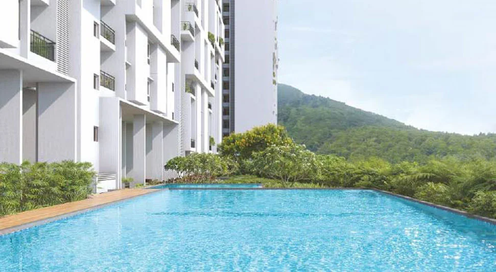 Rohan Saroha Bhugaon Swimming Pool Image